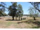 98 Willi St, Rosenthal Heights QLD 4370