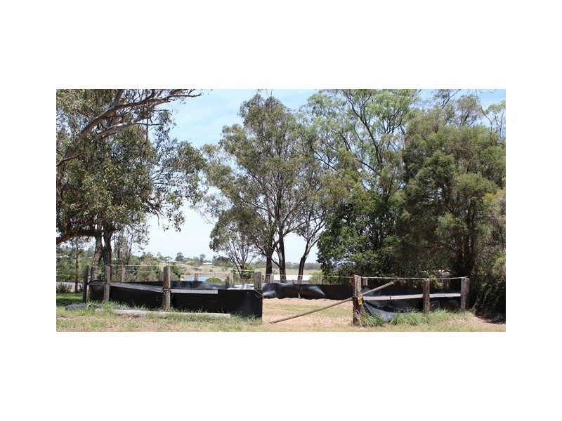 98 Willi St, Rosenthal Heights QLD 4370