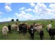 Lot 12 Middle Rd, Tannymorel QLD 4372