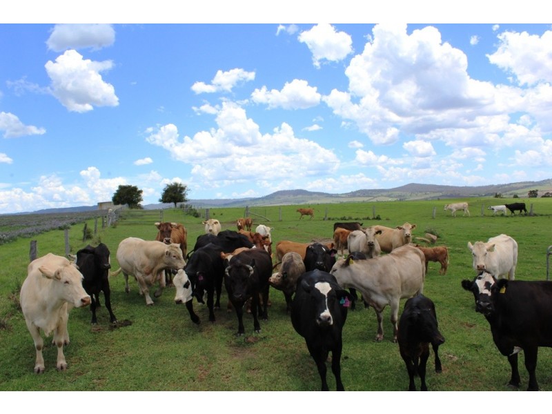 Lot 12 Middle Rd, Tannymorel QLD 4372