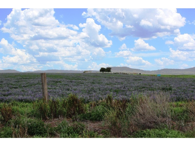 Lot 12 Middle Rd, Tannymorel QLD 4372