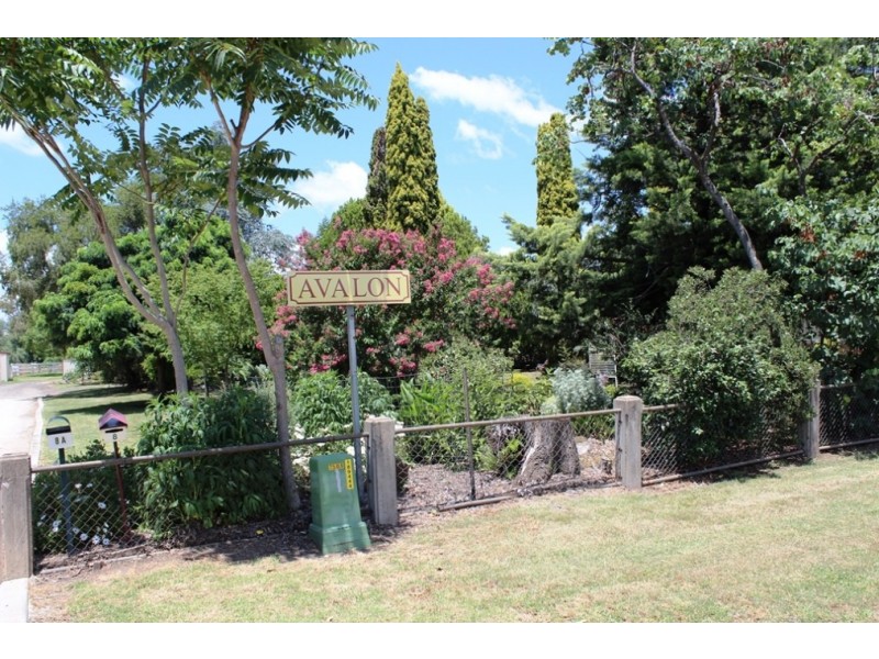8 Ailanthus St, Killarney QLD 4373