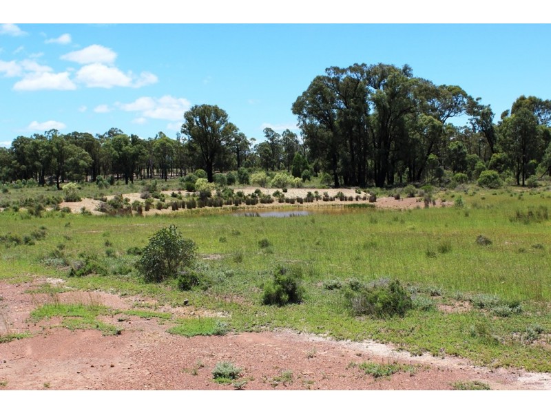 Lot 17 Reedy Creek Rd, Thanes Creek QLD 4370