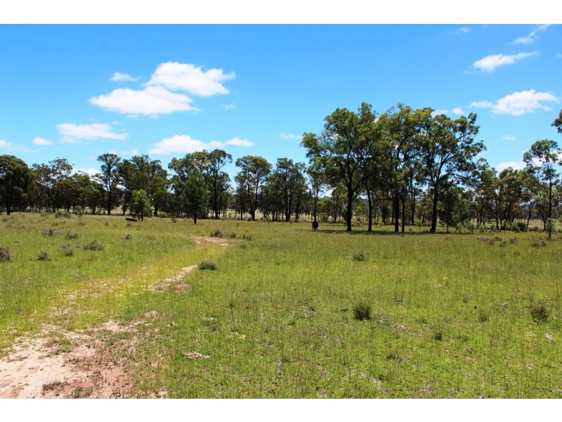 Lot 17 Reedy Creek Rd, Thanes Creek QLD 4370
