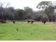 21727 New England Highway, Dalveen QLD 4374