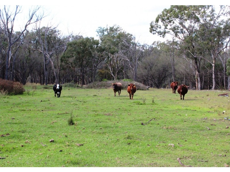 21727 New England Highway, Dalveen QLD 4374