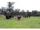 21727 New England Highway, Dalveen QLD 4374