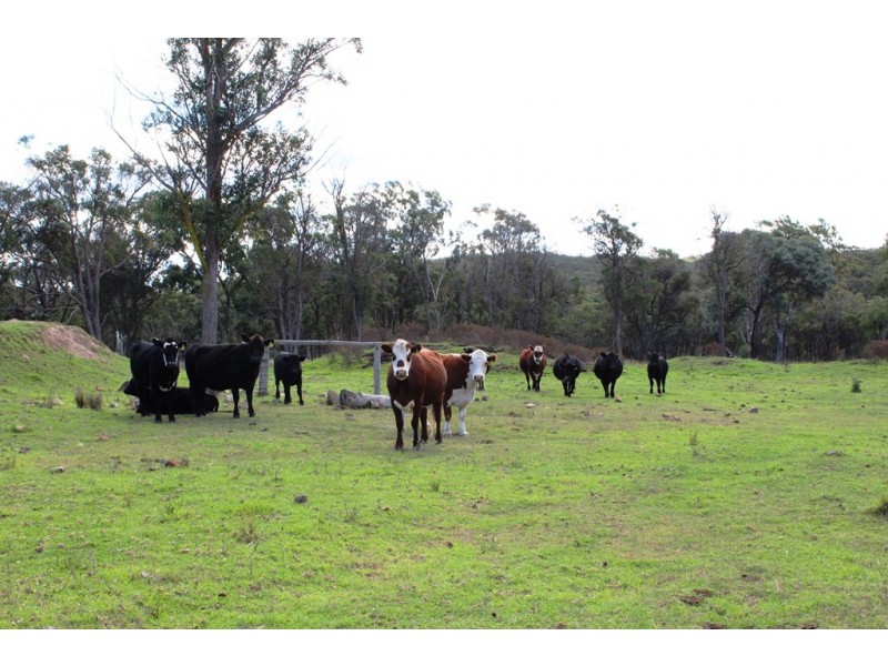 21727 New England Highway, Dalveen QLD 4374