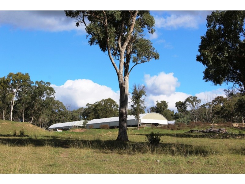 21727 New England Highway, Dalveen QLD 4374