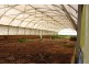 21727 New England Highway, Dalveen QLD 4374