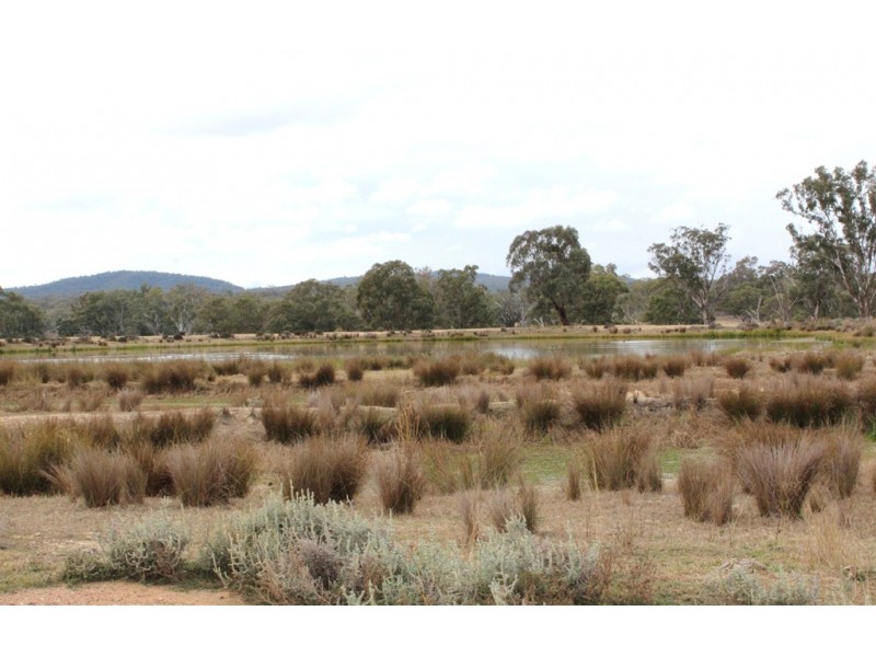 860 Thanes Creek Road, Thanes Creek QLD 4370