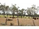 860 Thanes Creek Road, Thanes Creek QLD 4370