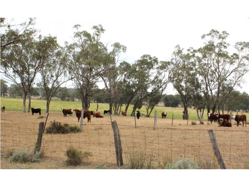 860 Thanes Creek Road, Thanes Creek QLD 4370