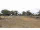 860 Thanes Creek Road, Thanes Creek QLD 4370