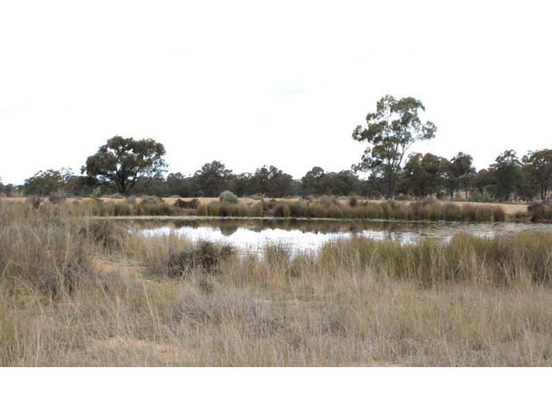 Lot 13 Wickham Road, Thanes Creek QLD 4370