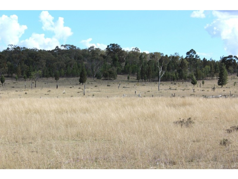 Lot 13 Wickham Road, Thanes Creek QLD 4370