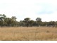 Lot 13 Wickham Road, Thanes Creek QLD 4370
