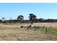 306 Pozieres Road, Pozieres QLD 4352