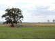 Lot 34 Giffords Road, Junabee QLD 4370