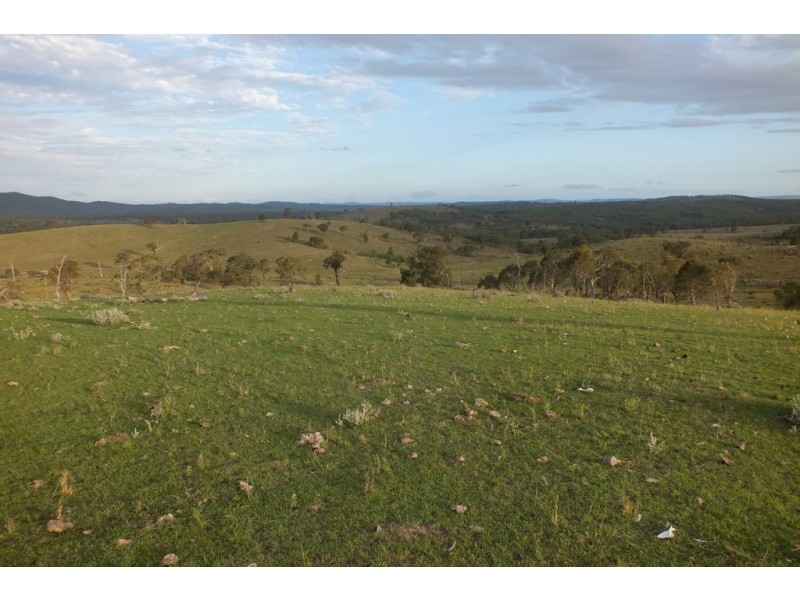Thane QLD 4370