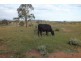 Thane QLD 4370