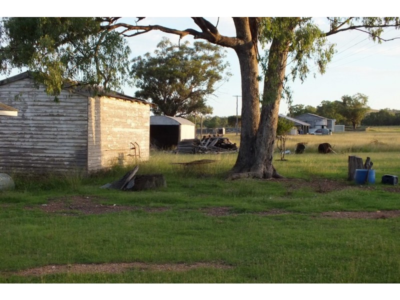Thane QLD 4370