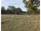 Thane QLD 4370