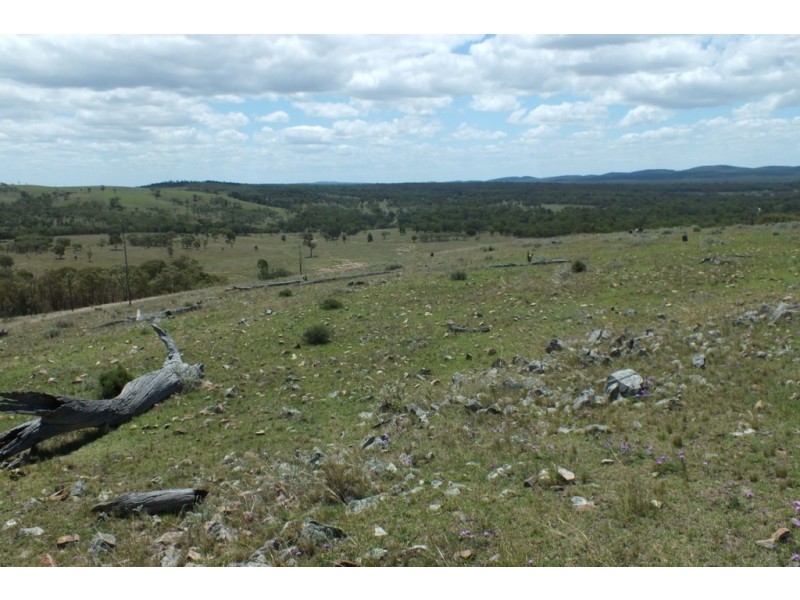 Thane QLD 4370