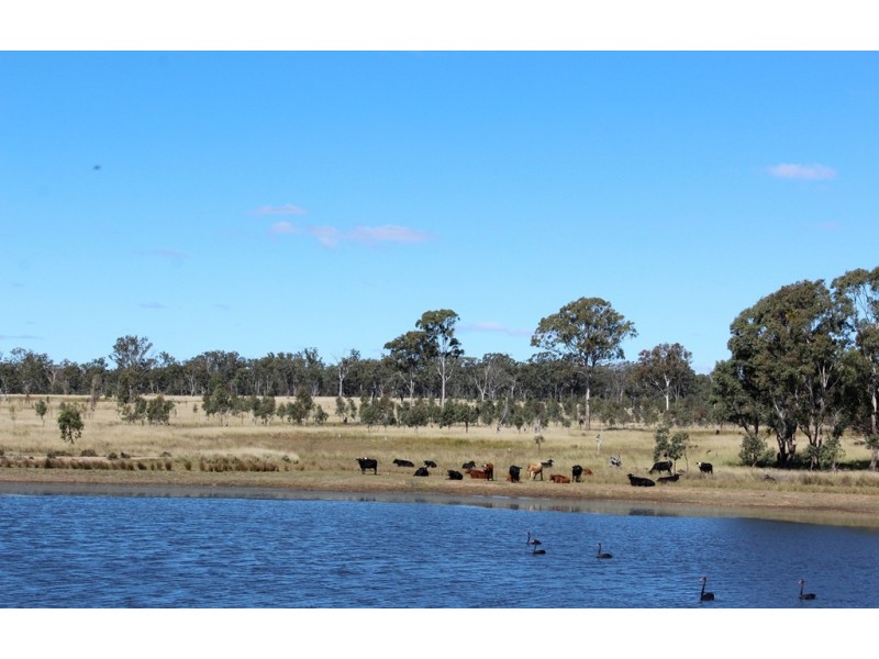 98 Orchard Road, Loch Lomond QLD 4370