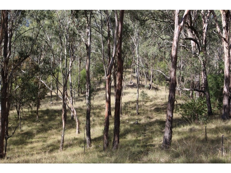 0 Cunningham Highway, Tregony QLD 4370