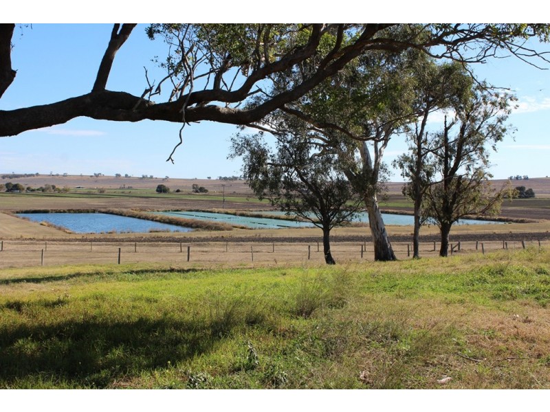 58 Backhouse Road, Killarney QLD 4373