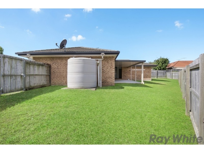 9 Adonis Court, Rothwell QLD 4022