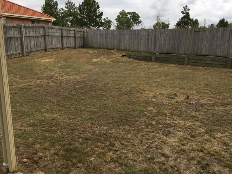 17 Lemon Myrtle Drive, Morayfield QLD 4506