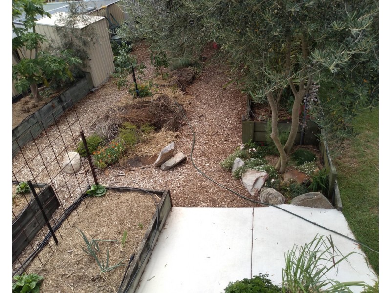 7 Summer Street, Deception Bay QLD 4508