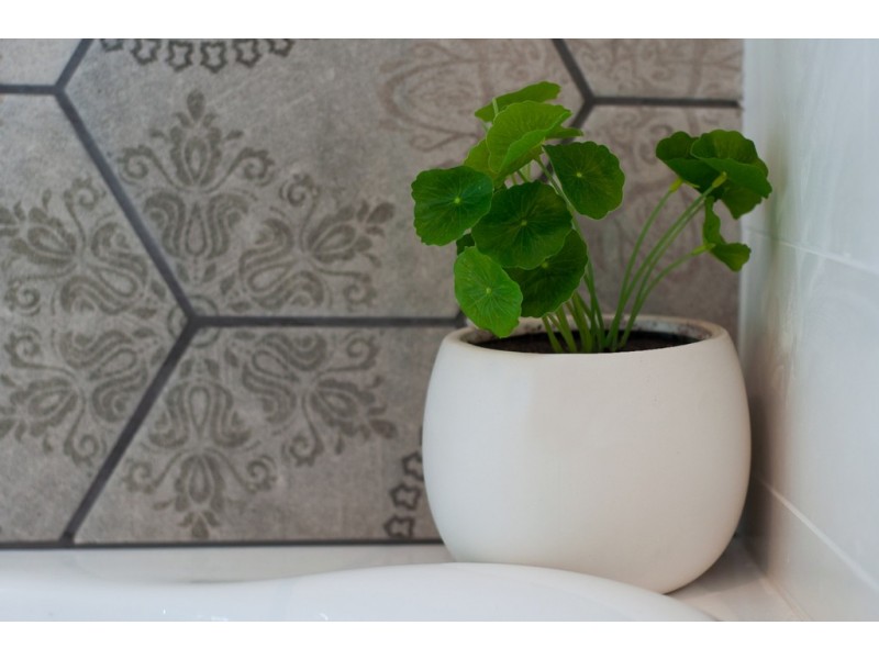 14 Fredan Road, Deception Bay QLD 4508