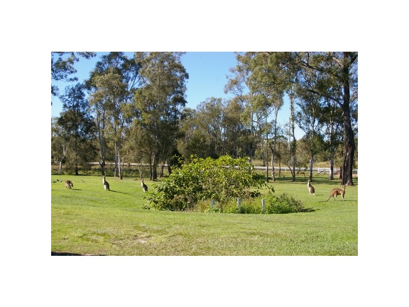 20 Whitlock Drive, Rothwell QLD 4022