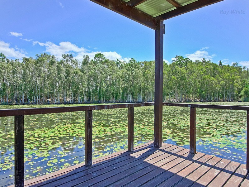 11 Eucalyptus Street, Ningi QLD 4511