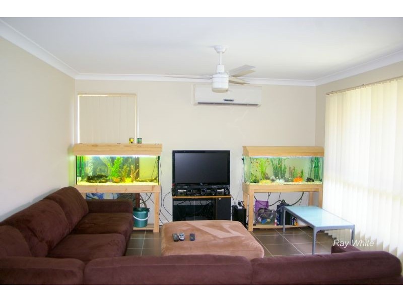 1/8 Arakoon Court, Rothwell QLD 4022