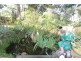 37 Jamaica Drive, Deception Bay QLD 4508