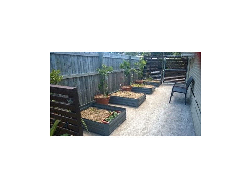 10 Thompson Street, Deception Bay QLD 4508