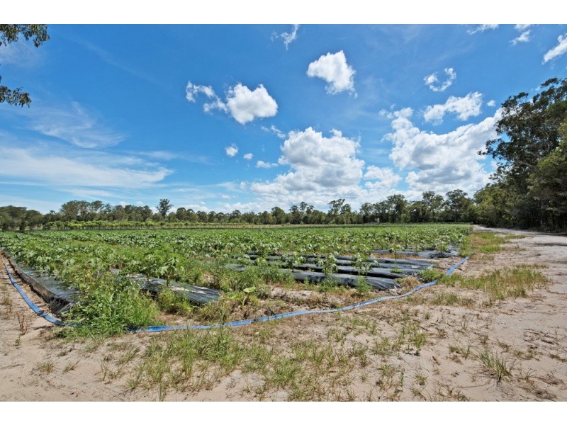 227 Smiths Road, Caboolture South QLD 4510