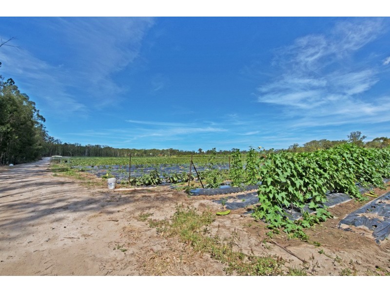 227 Smiths Road, Caboolture South QLD 4510