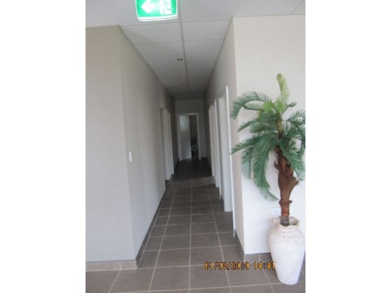 163 Elizabeth Drive, Liverpool NSW 2170