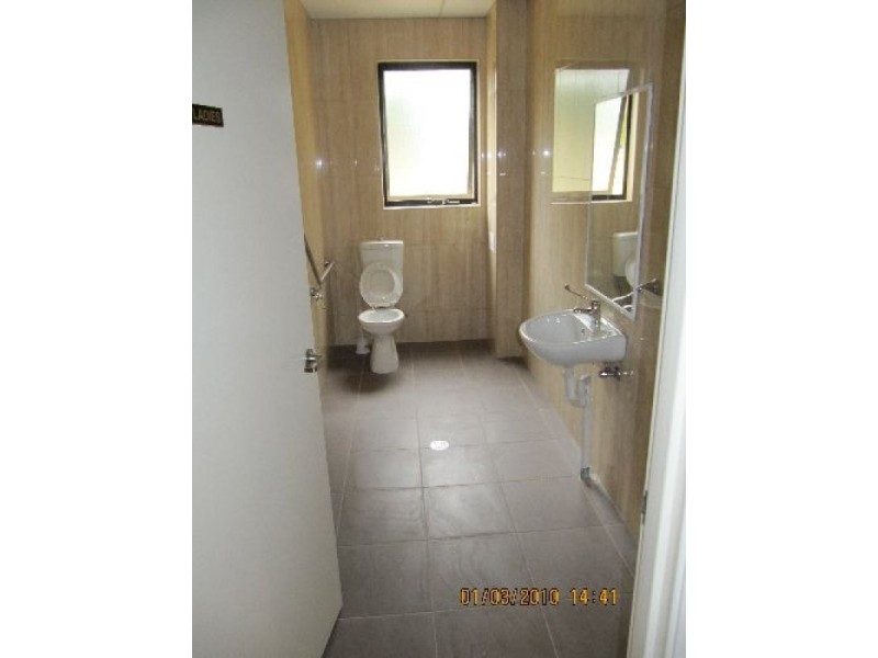 163 Elizabeth Drive, Liverpool NSW 2170