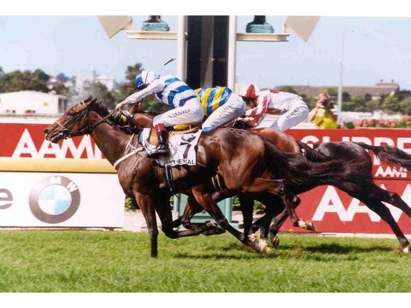 120 James Ruse Drive, Rosehill NSW 2142