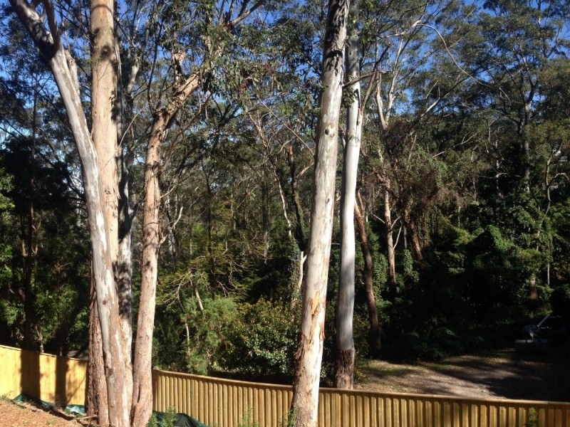 1 Lamond Drive, Turramurra NSW 2074