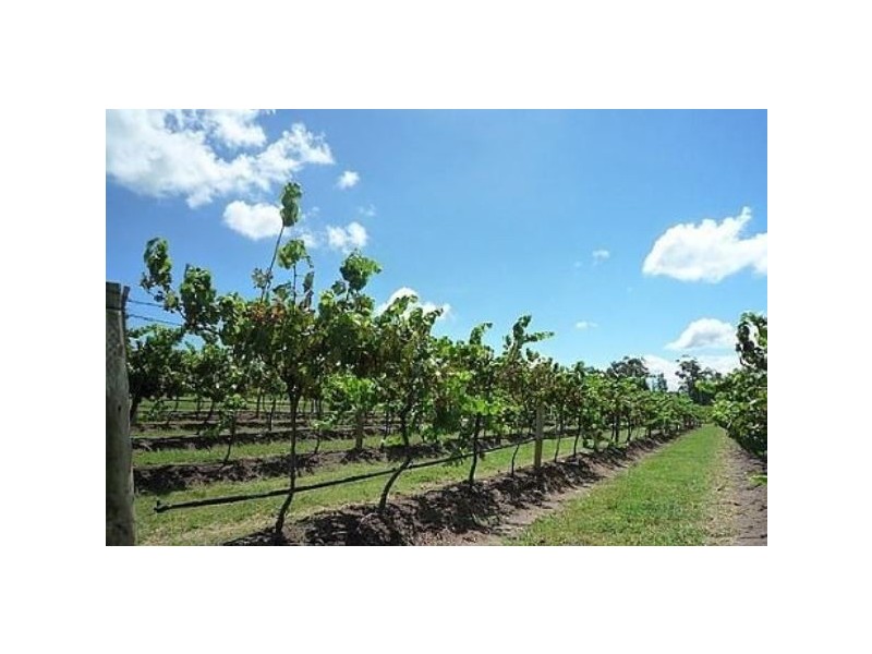 Cliftleigh NSW 2321