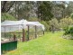 50 Jindalee Drive, Neika TAS 7054