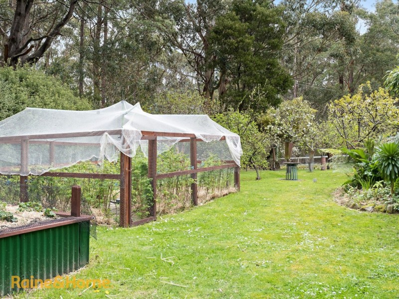 50 Jindalee Drive, Neika TAS 7054
