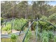50 Jindalee Drive, Neika TAS 7054
